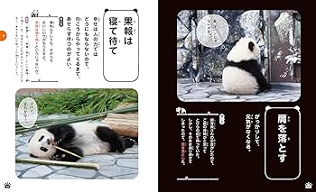 ことわざ・慣用句 パンダ❤同梱　100引❤299❤ パンダでおぼえる ことわざ慣用句 | 学研プラス, 福田豊文, 今泉